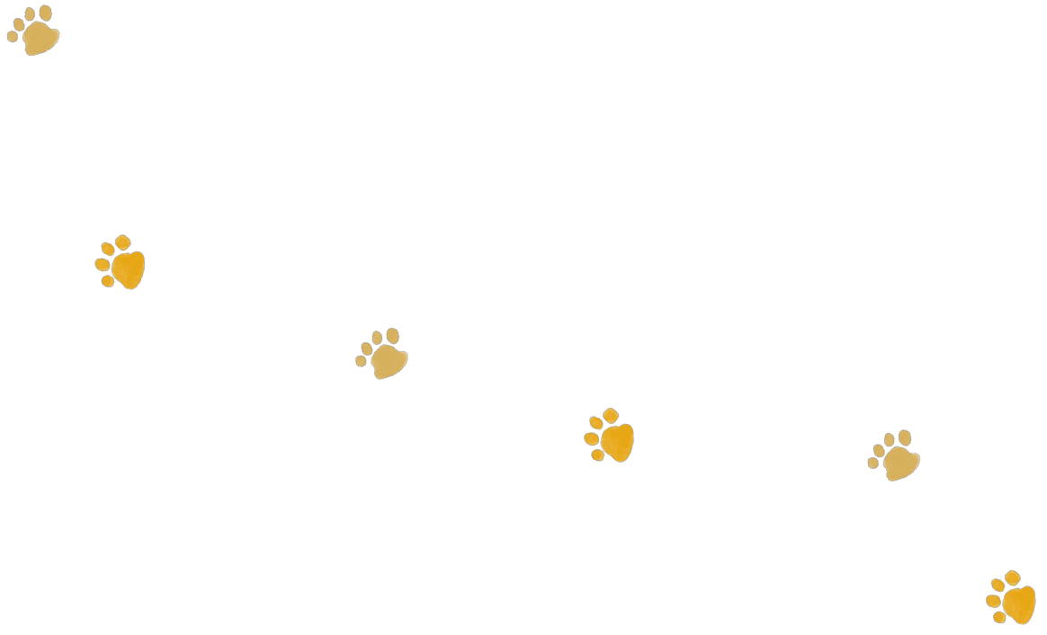 shortstay_bg_5
